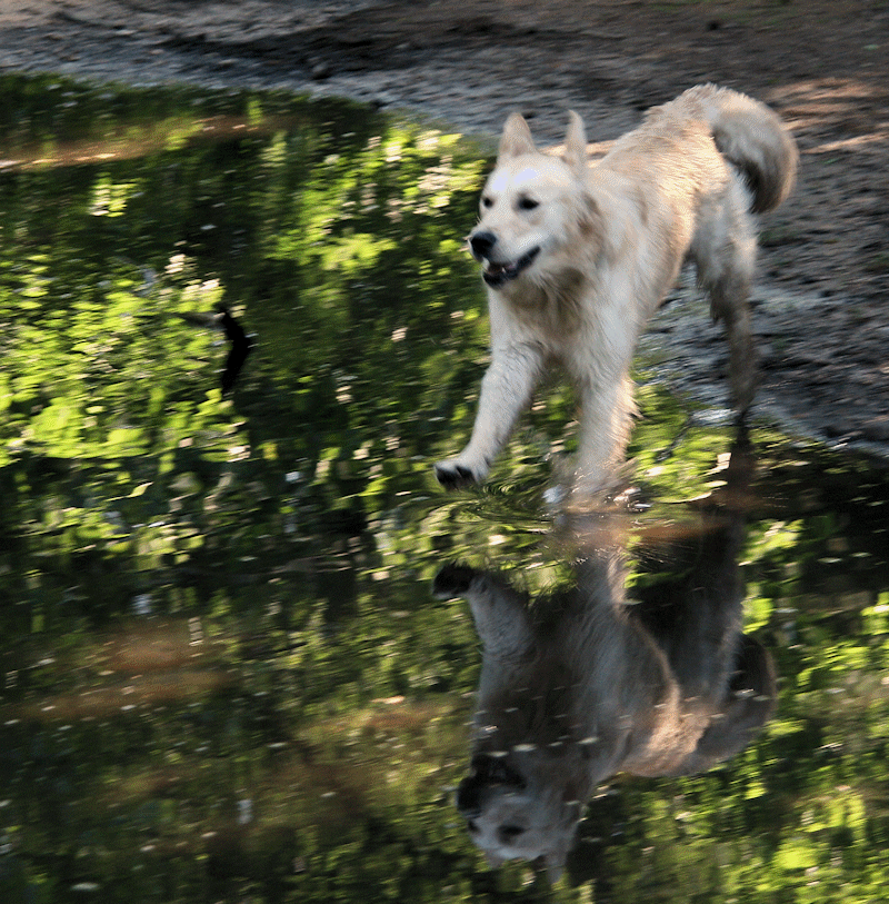 slideshow image