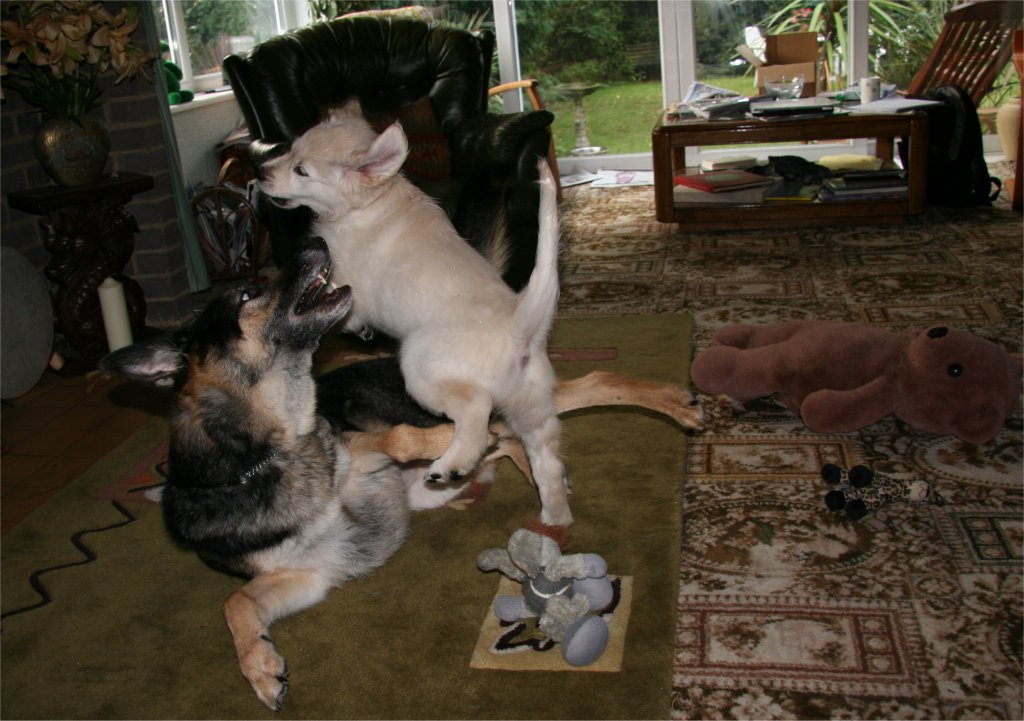 slideshow image