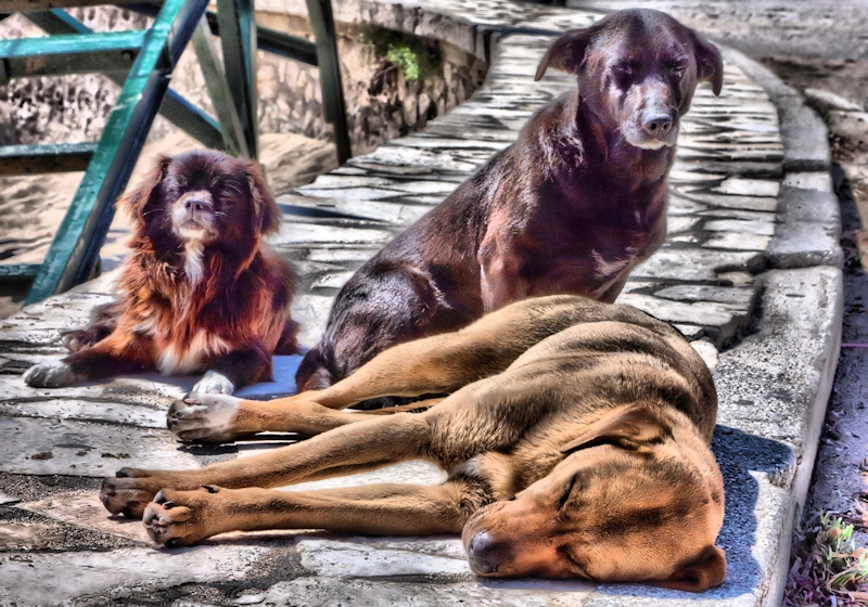 slideshow image