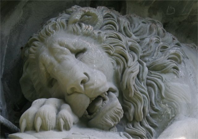 http://syque.com/ds/pix/summer_hols_06/lion_face.jpg